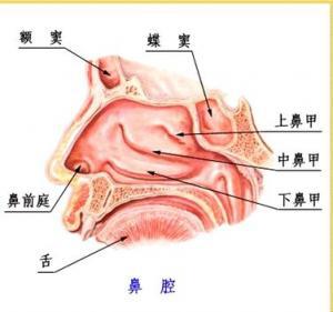 一种基于混合现实的颅颌面整形手术导航系统